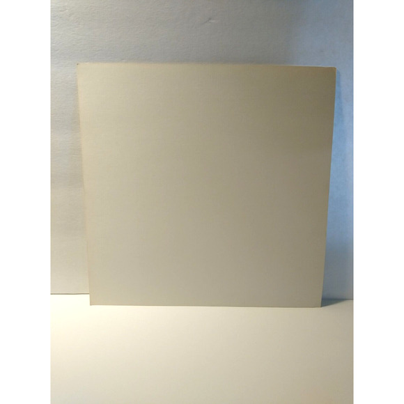 Nona Hendryx Skindiver POSTER Flat Ready To Frame Promo Artwork Tiger Lady 1989 - Picture 2 of 2